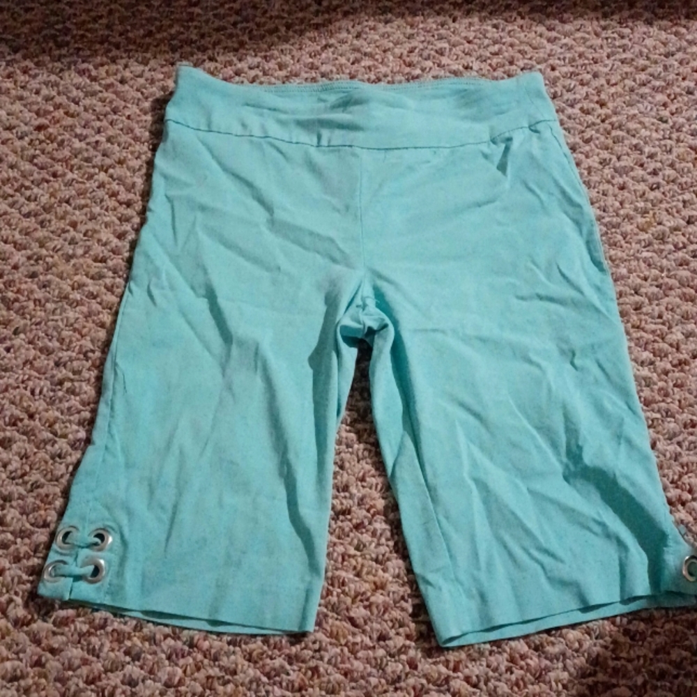 Pair of teal shorts from Briggs petite